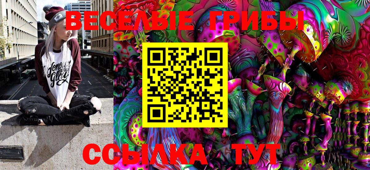 Псилоцибиновые грибы Cubensis Благовещенск